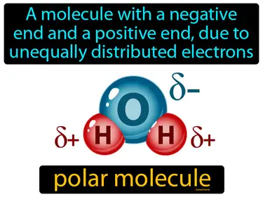 a molecule with a negative end and a positive end, due to unequally distributed electrons