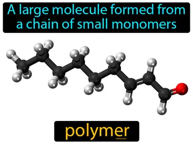 a large molecule formed from a chain of small monomers