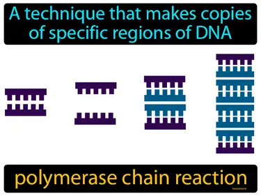 a technique that makes copies of specific regions of DNA