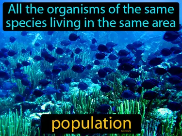 Populations