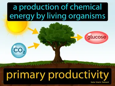 The production of chemical energy by living organisms