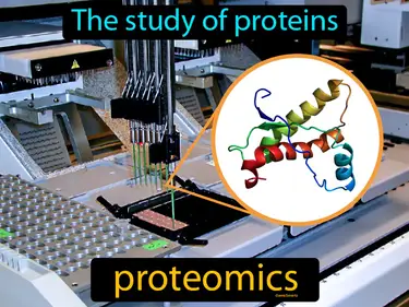 the study of proteins