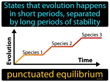 states that evolution happens in short periods, separated by long periods of stability