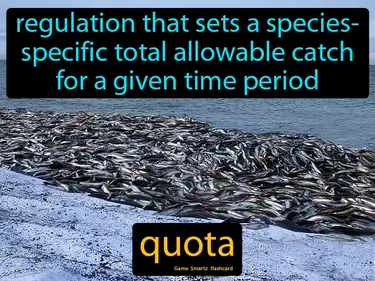Regulation that sets a species- specific total allowable catch for a given time period
