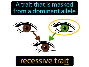 Variation of Traits 3-LS3-1