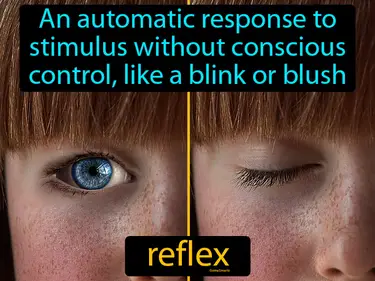an automatic response to stimulus without conscious control, like a blink or blush
