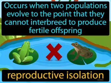 occurs when two populations evolve to the point that they cannot interbreed to produce fertile offspring