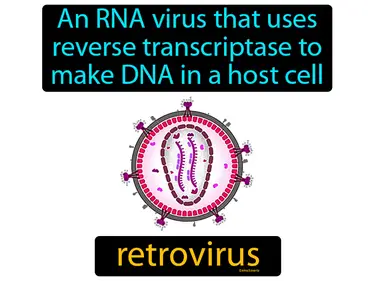 an RNA virus that uses reverse transcriptase to make DNA in a host cell