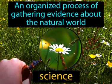 an organized process of gathering evidence about the natural world