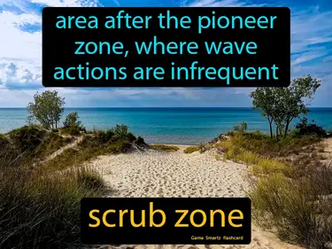 Area after the pioneer zone, where wave actions are infrequent