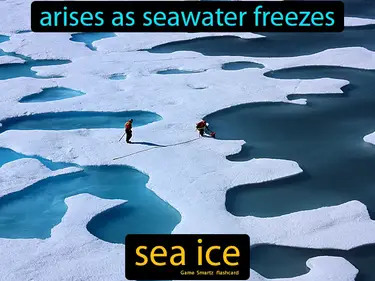 Arises as seawater freezes