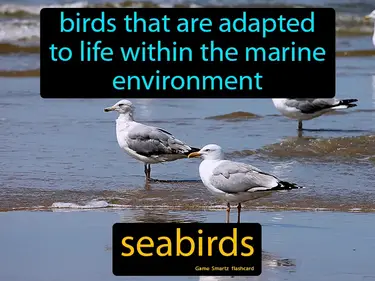 Marine Reptiles and Birds