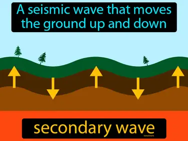 a seismic wave that moves the ground up and down
