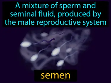 a mixture of sperm and seminal fluid, produced by the male reproductive system