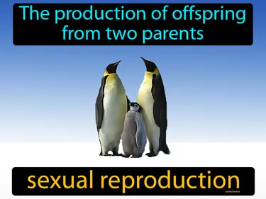 Reproduction and Heredity