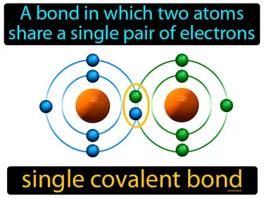a bond in which two atoms share a single pair of electrons