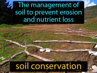 the management of soil to prevent erosion and nutrient loss