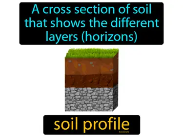 a cross section of soil that shows the different layers (horizons)