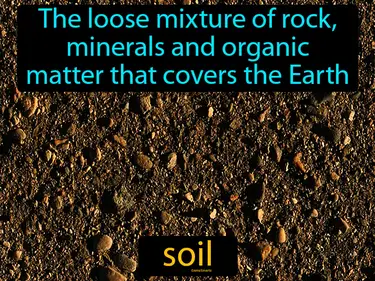 the loose mixture of rock, minerals and organic matter that covers the Earth
