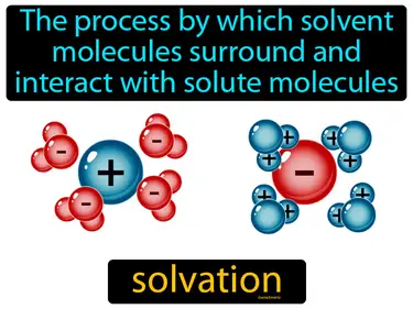 the process by which solvent molecules surround and interact with solute molecules