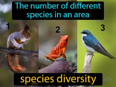 the number of different species in an area