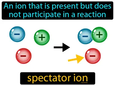 an ion that is present but does not participate in a reaction