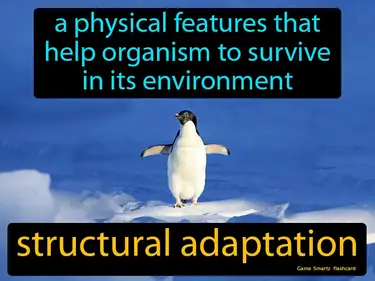 A physical features that help organism to survive in its environment