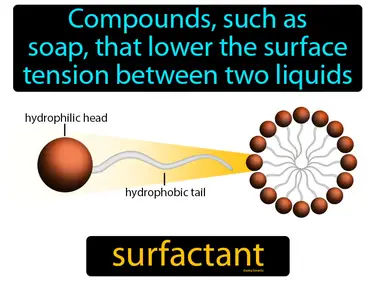 compounds, such as soap, that lower the surface tension between two liquids