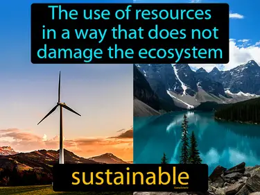 The Ocean's Resources