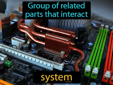 a group of related parts that interact