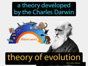 A theory developed by the Charles Darwin