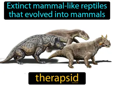 extinct mammal-like reptiles that evolved into mammals