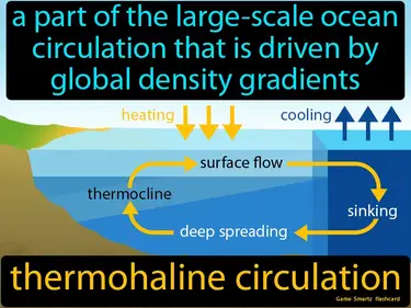 A part of the large-scale ocean circulation that is driven by global density gradients