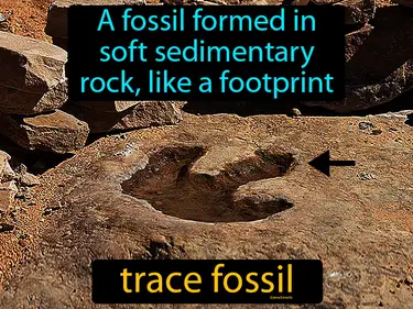 a fossil formed in soft sedimentary rock, like a footprint