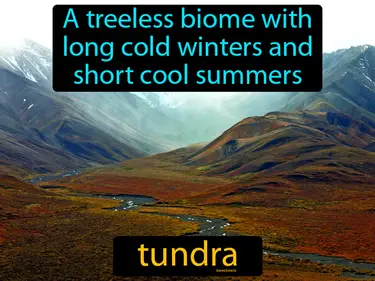 a treeless biome with long cold winters and short cool summers