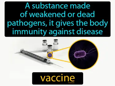a substance made of weakened or dead pathogens, it gives the body immunity against disease