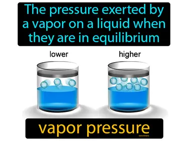 the pressure exerted by a vapor on a liquid when they are in equilibrium
