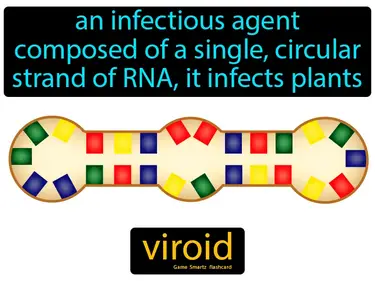 an infectious agent composed of a single, circular strand of RNA, it infects plants