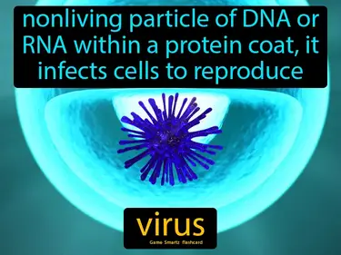 nonliving particle of DNA or RNA within a protein coat, it infects cells to reproduce