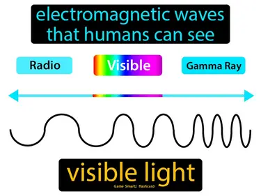 electromagnetic waves that humans can see