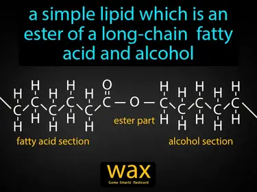 a simple lipid which is an ester of a long-chain fatty acid and alcohol
