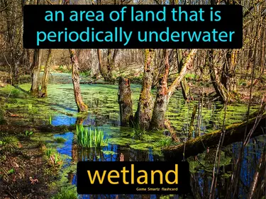 an area of land that is periodically underwater