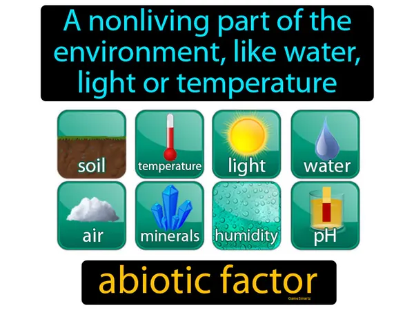 A nonliving part of the environment, like water, light or temperature