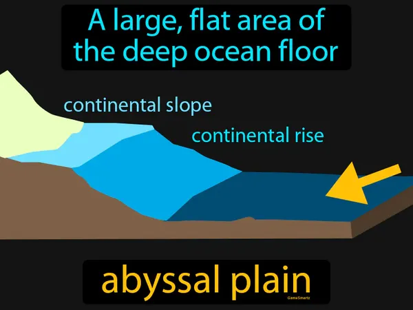 a large, flat area of the deep ocean floor