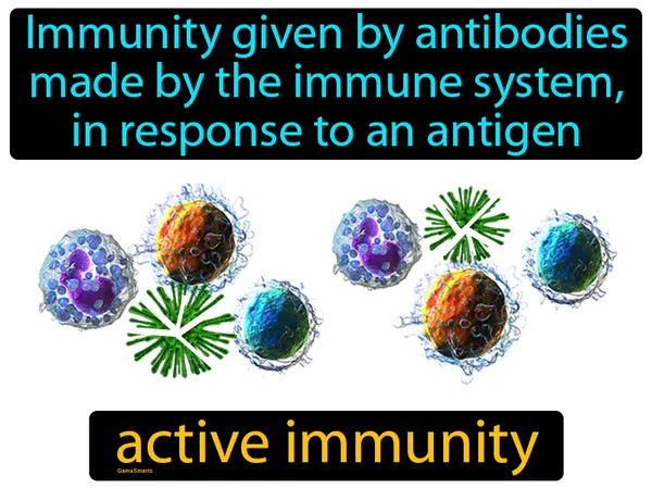 immunity given by antibodies made by the immune system, in response to an antigen