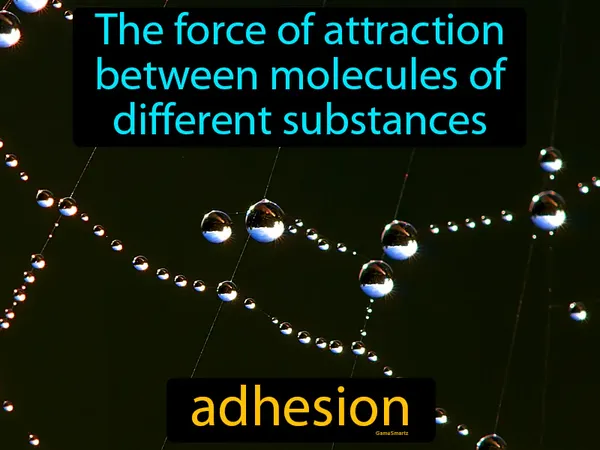 the force of attraction between molecules of different substances