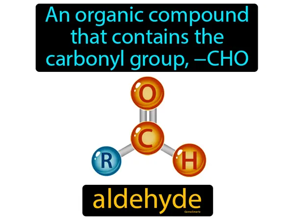 an organic compound that contains the carbonyl group, −CHO