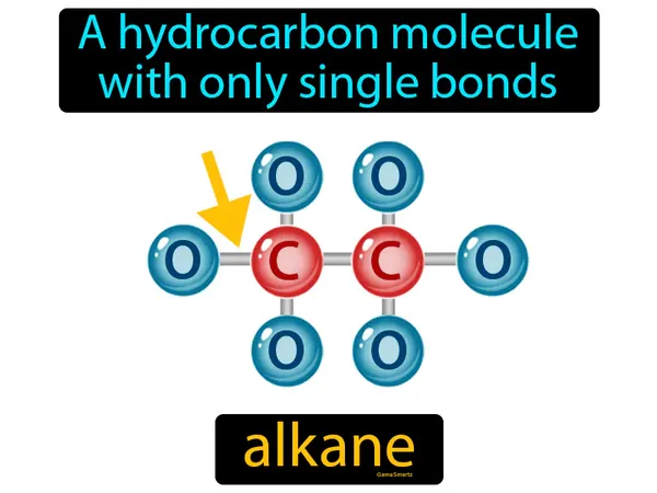 a hydrocarbon molecule with only single bonds
