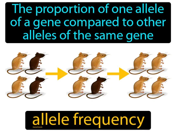 the proportion of one allele of a gene compared to other alleles of the same gene