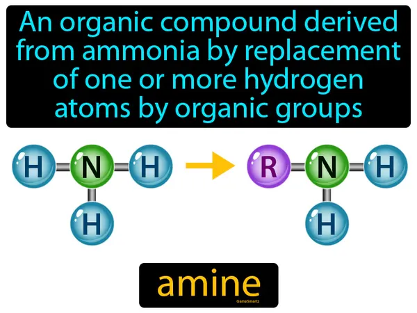 an organic compound derived from ammonia by replacement of one or more hydrogen atoms by organic groups